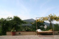 /album/i-fiori-di-casa-acquarella/a14-img-8534-r-jpg/
